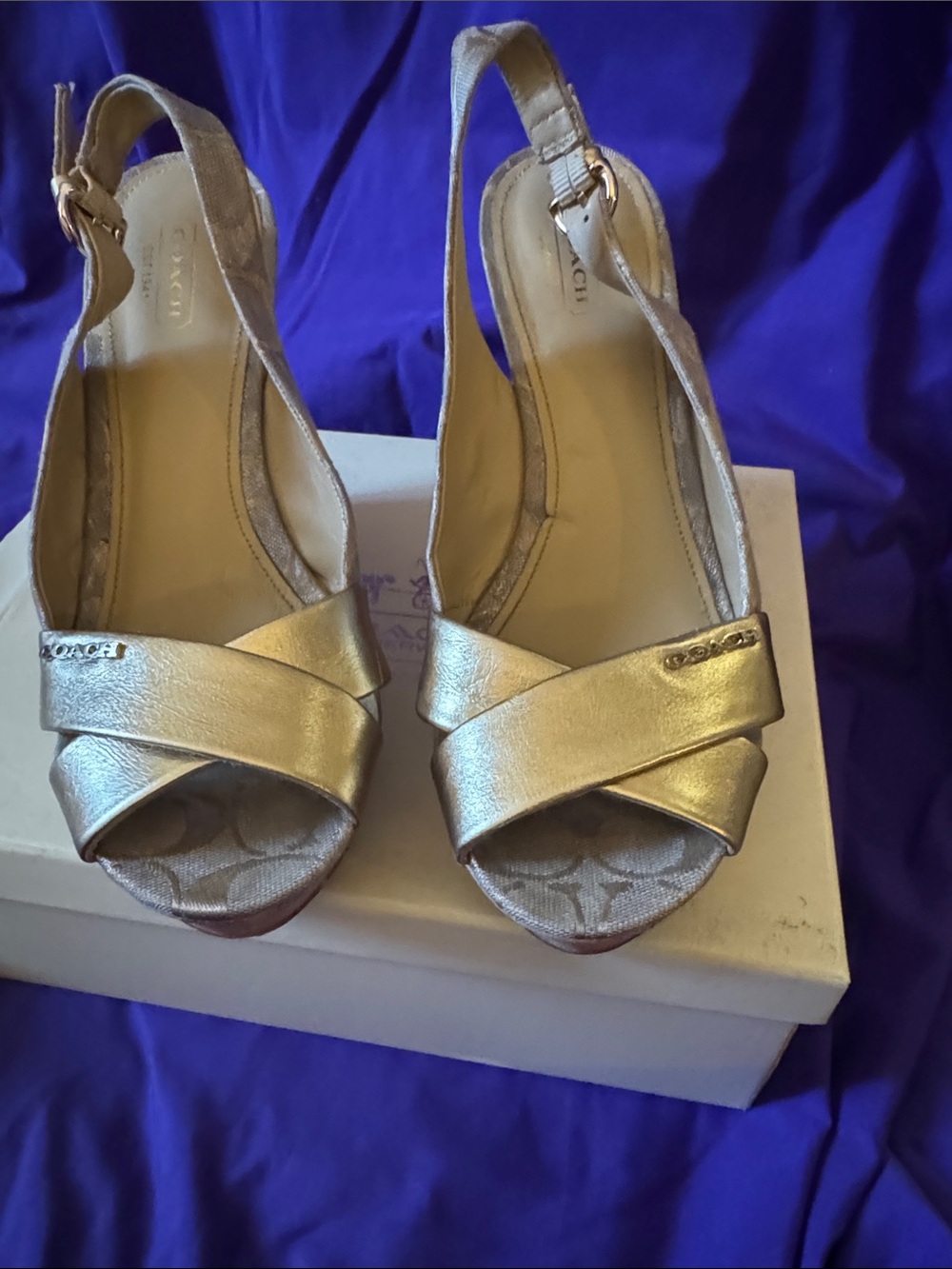 Jessy Signature COACH wedges